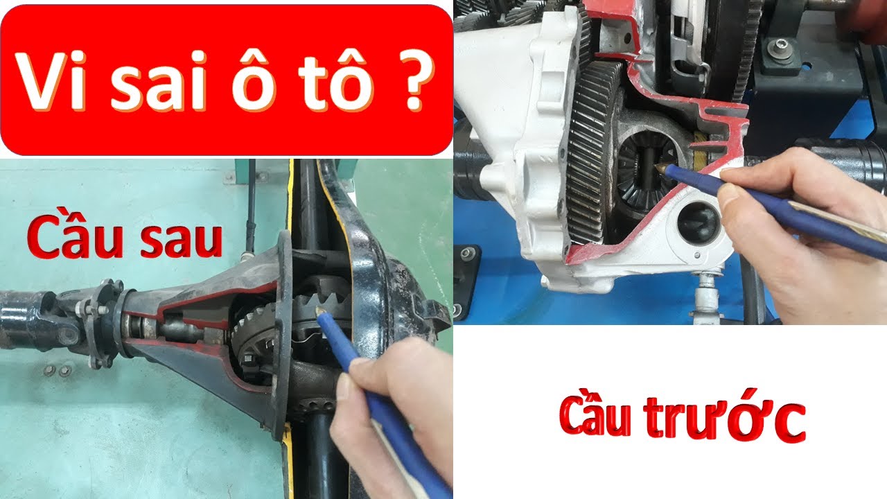 BỘ VI SAI TRÊN XE Ô TÔ - Hướng dẫn tìm hiểu cấu tạo và nguyên lý hoạt động