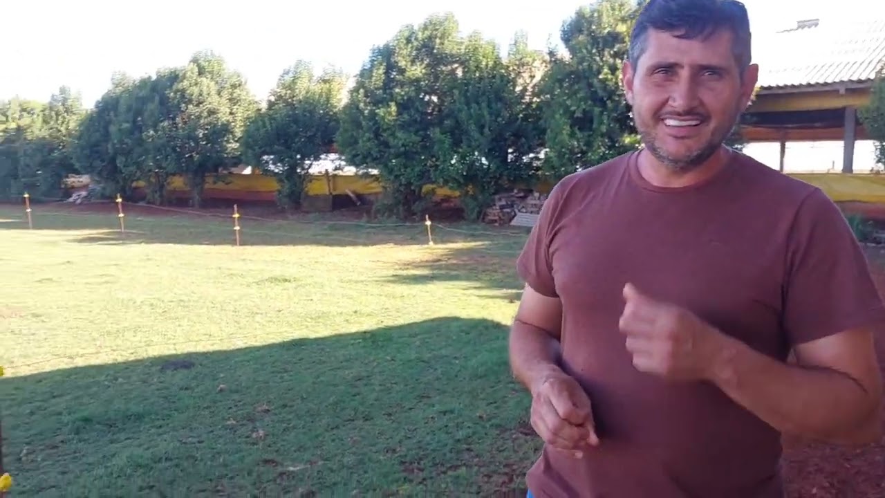 SUINOCULTURA, PLANTAÇÃO DE SOJA , PROJETO DE CRIAÇÃO DE GADO CONFINADO NO PARANÁ 