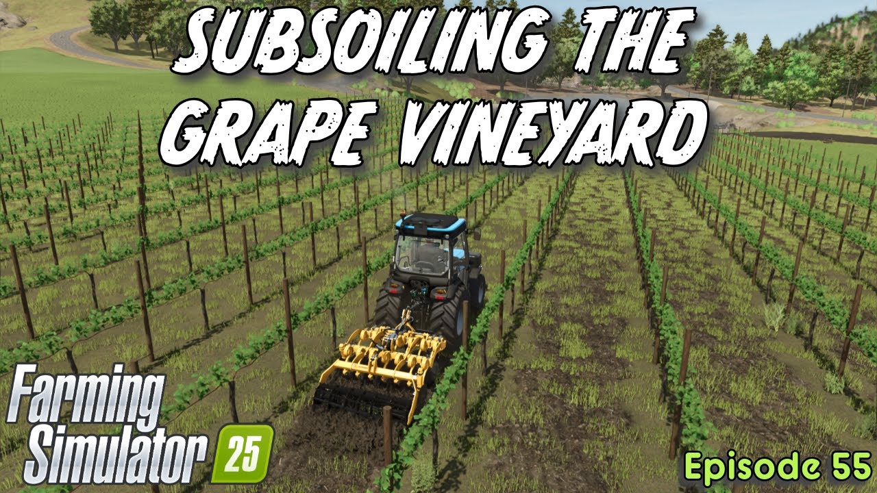 SUBSOILING THE GRAPE VINES AND WRAPPING THE BALES | Hutan Pantai Episode 55 | Farming Simulator 25