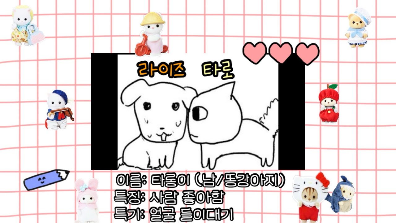 [라이즈 쇼타로]우리 집 똥강아지를 소개합니다🧡