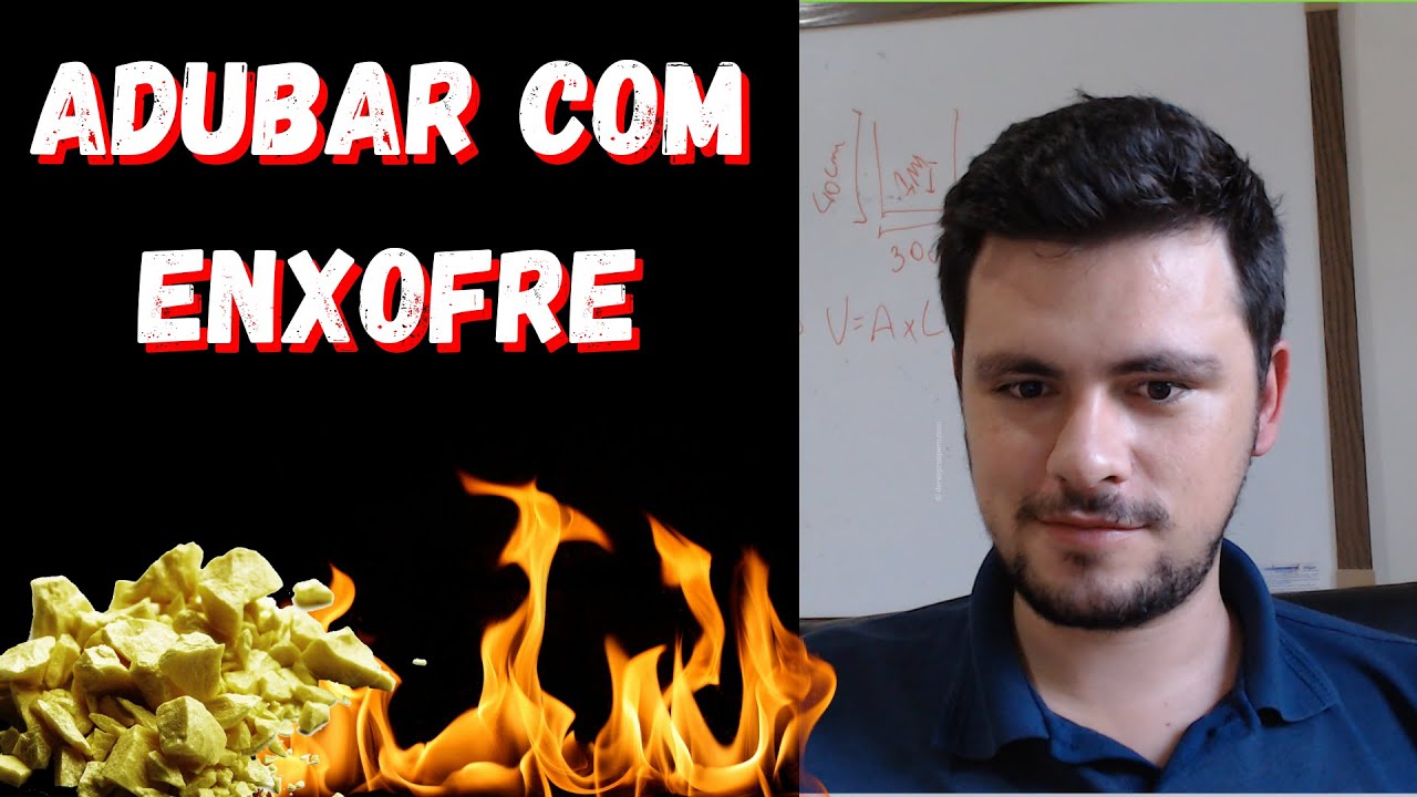 Como adubar com ENXOFRE I Sintomas e Adubos
