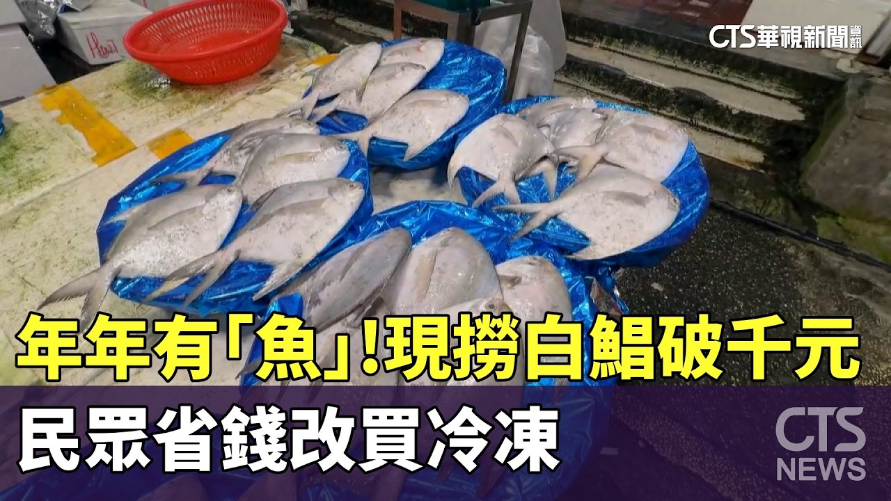 年年有「魚」！現撈白鯧破千元　民眾省錢改買冷凍｜華視新聞 20260212 @CtsTw