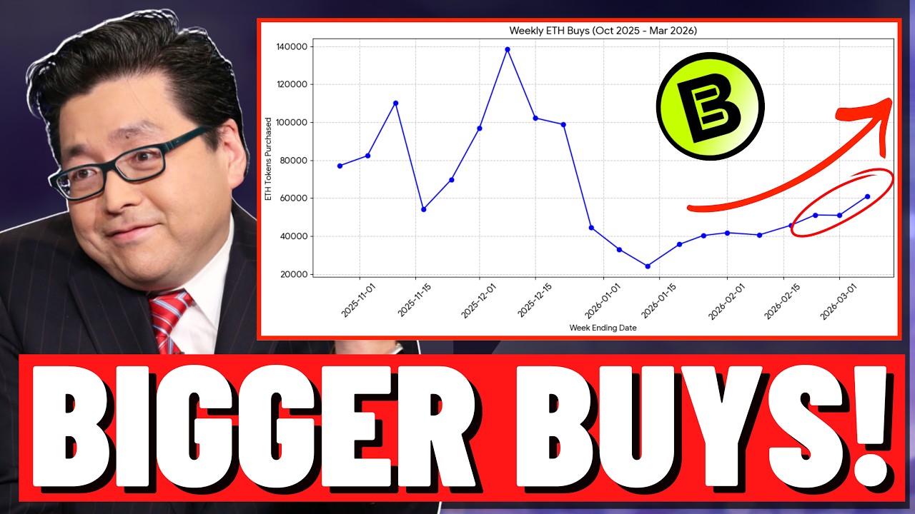 ТОМ ЛИ: ETH Bottom в деле, BMNR загружает корабль... (Еженедельный обзор BMNR)