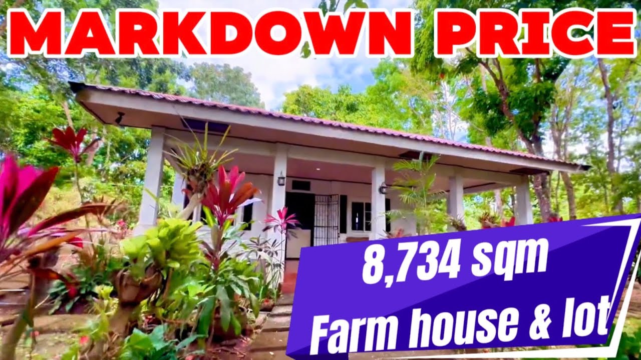 L-666-26 MARKDOWN PRICE 34M ‼️Farm house and lot near tagaytay 8,734 sqm along brgy road