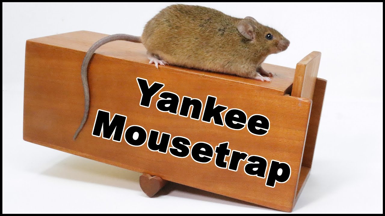 Catching Mice In The Barn With The Rare And Valuable Yankee Mouse Trap. Mousetrap Monday