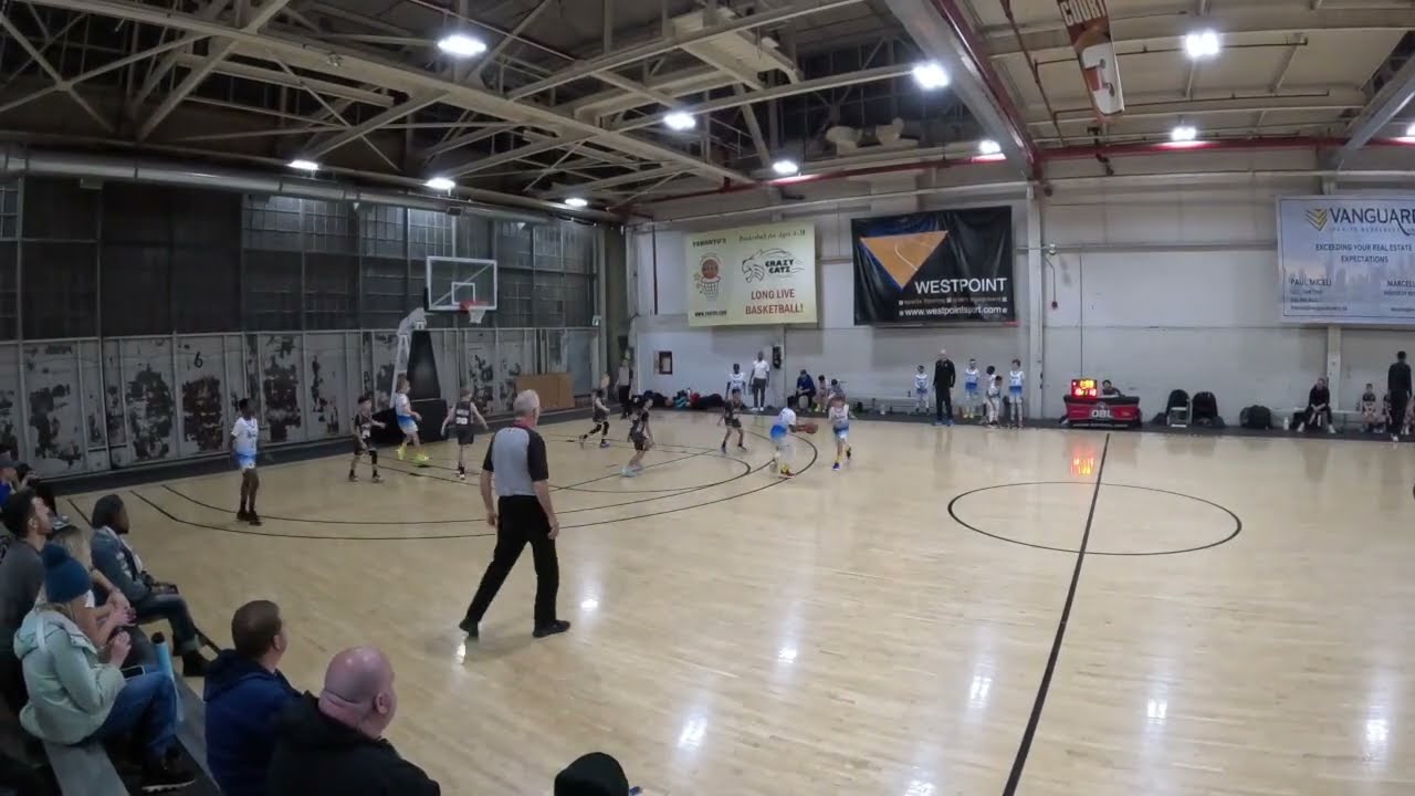 Barrie Royals U11 vs PDM Basketball - Gold, OBL Weekend #3