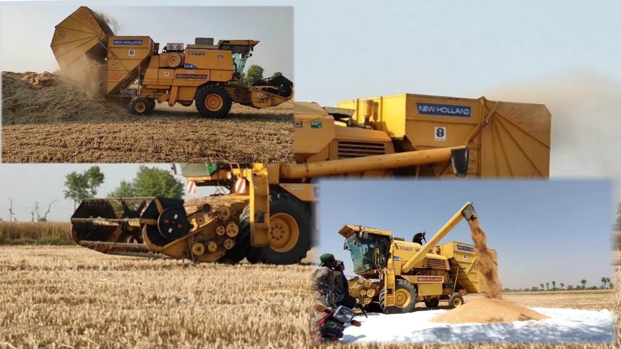 Harvesting - A Wheat Harvester in Pakistan #wheat#harvester#agriculture