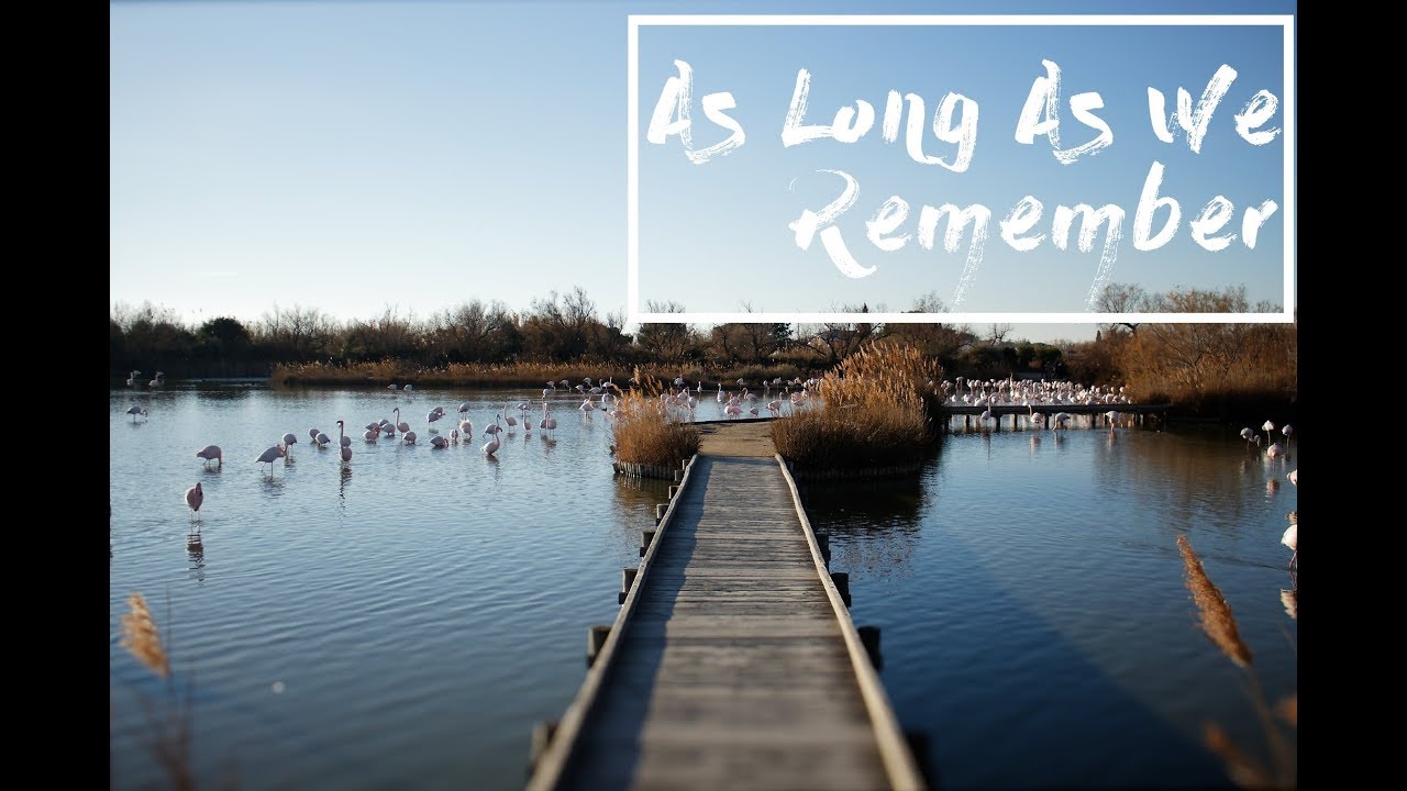 As Long As We Remember - The Camargue, South of France