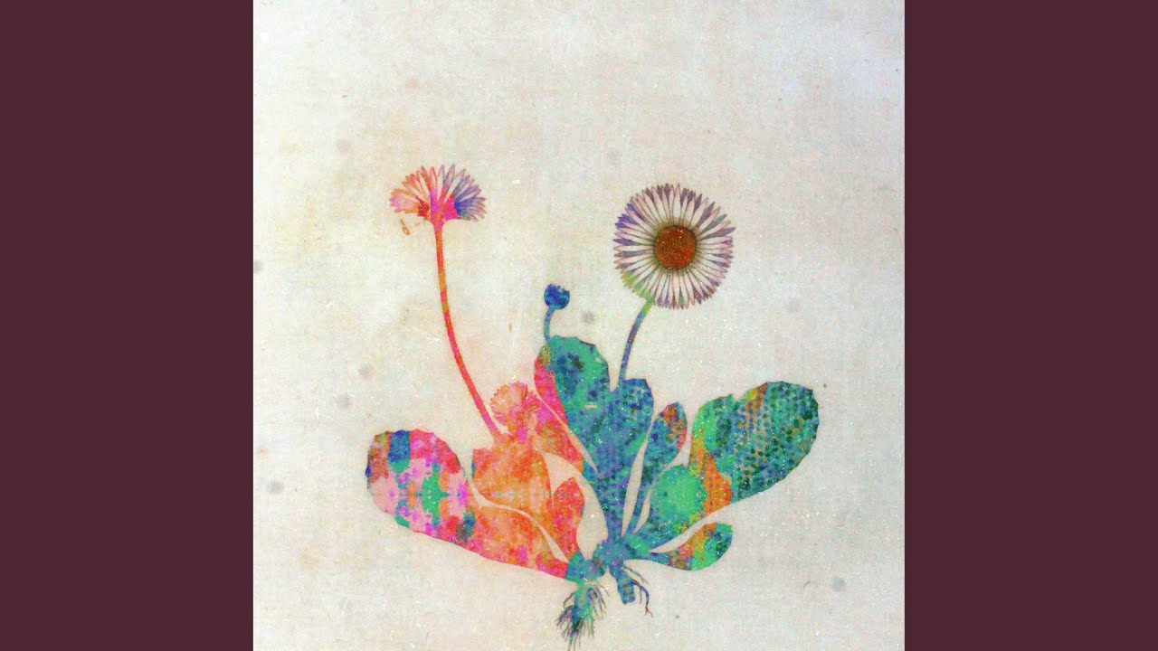 Phased Daisy