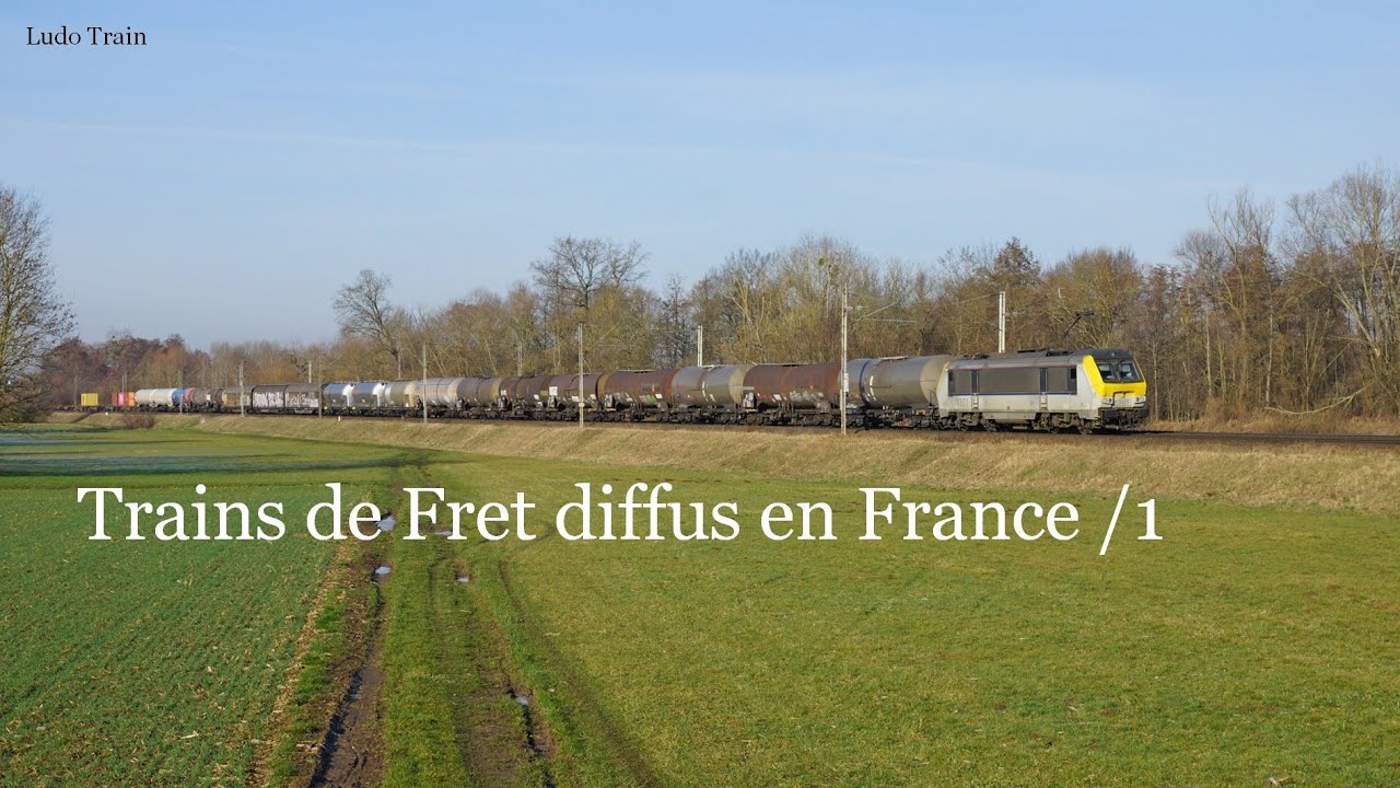 Freight Mix Trains in France /1