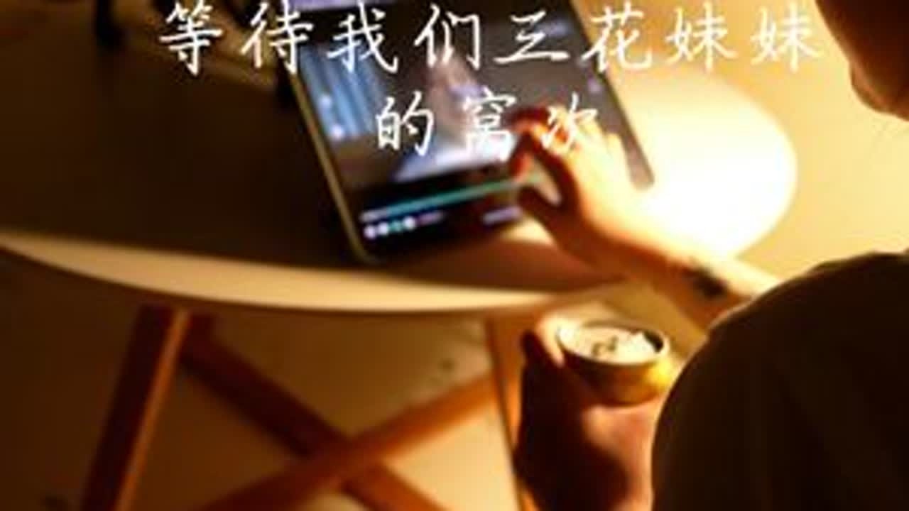 Xxin德文猫舍|和猫咪在一起的每一天 大家好我是你的德文饲养员小鑫呀~#德文卷毛猫 #德文猫舍 #我的小猫幸福我就幸福 #小猫咪能有什么坏心思它只想被爱 #生活美学