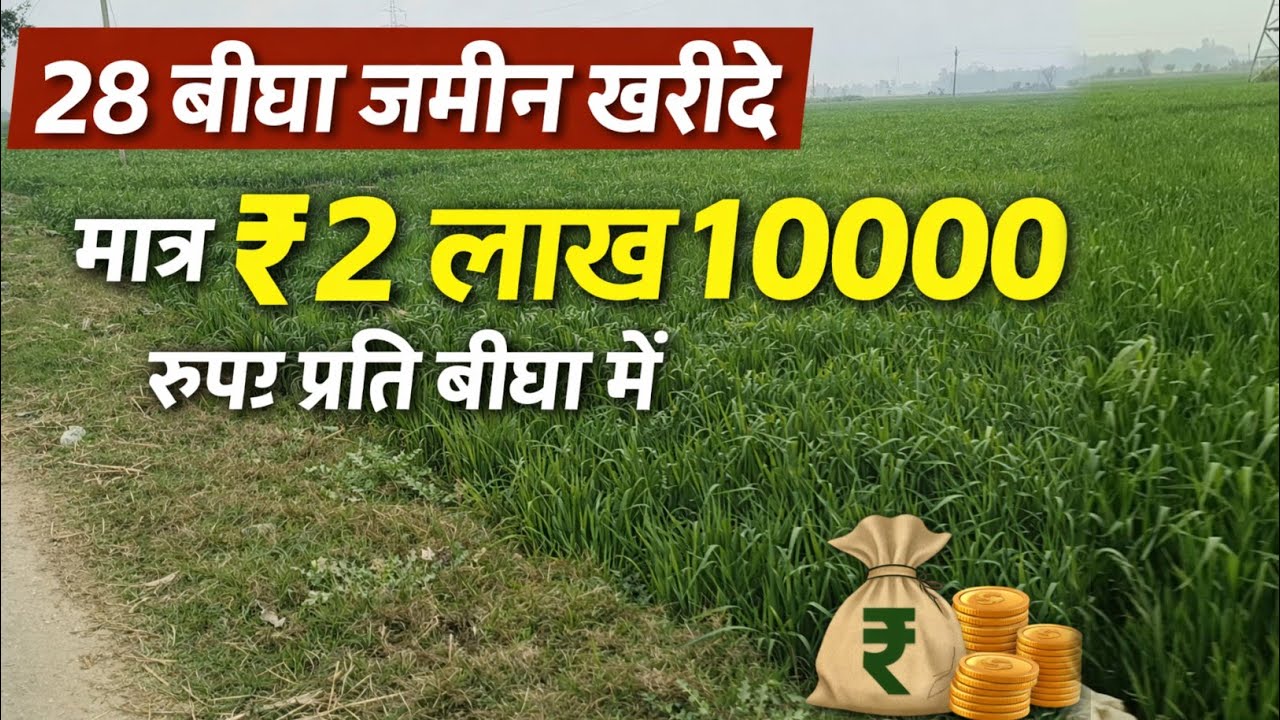 28 Bigha Agricultural Land for Sale in India @ ₹2,10,000 per Bigha | Cheap Farm Investment 2026 🌾