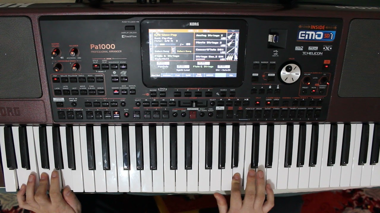 GÖZLERİN - KORG PA1000(Zülfü Livaneli Parçası)