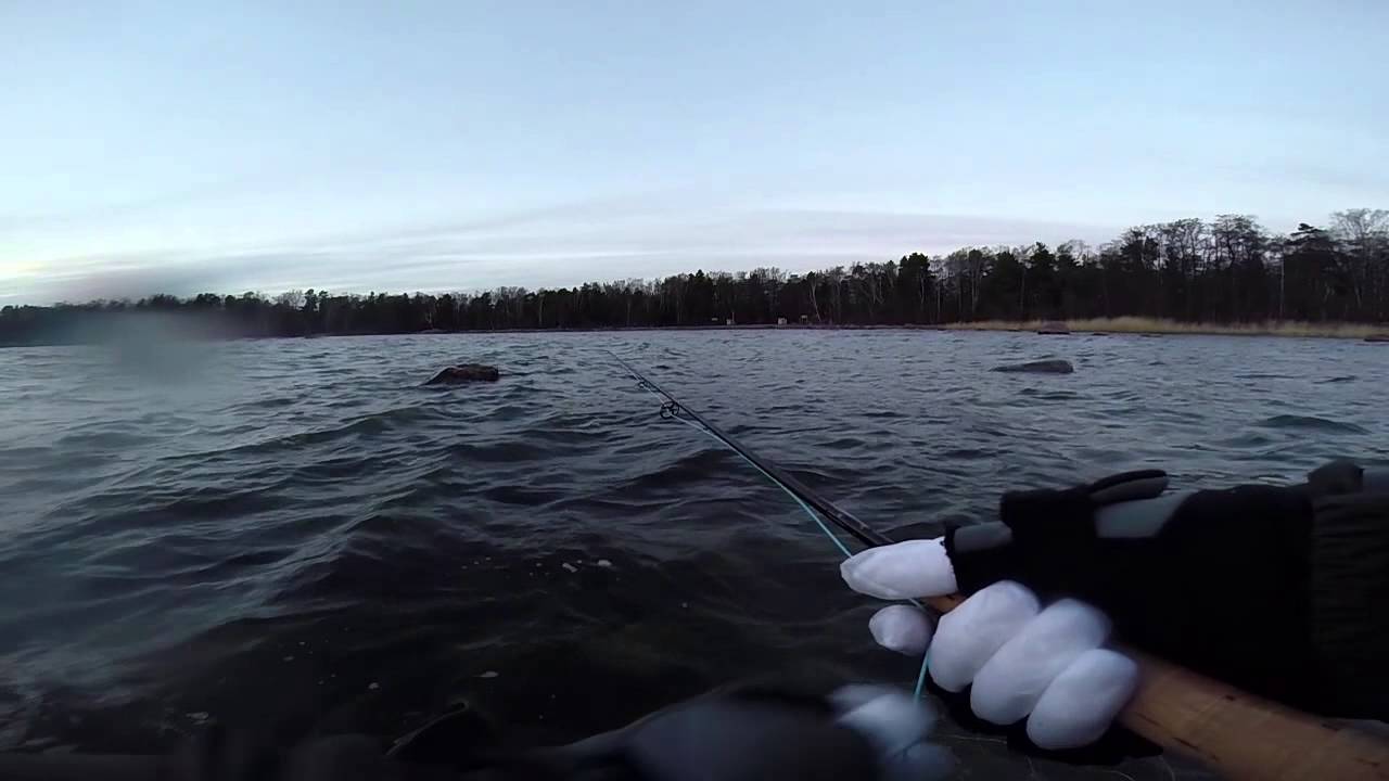 Seatrout on the Fly, 16.12.2014 / Meritaimenta perholla