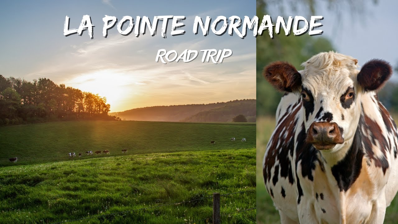 La pointe Normande