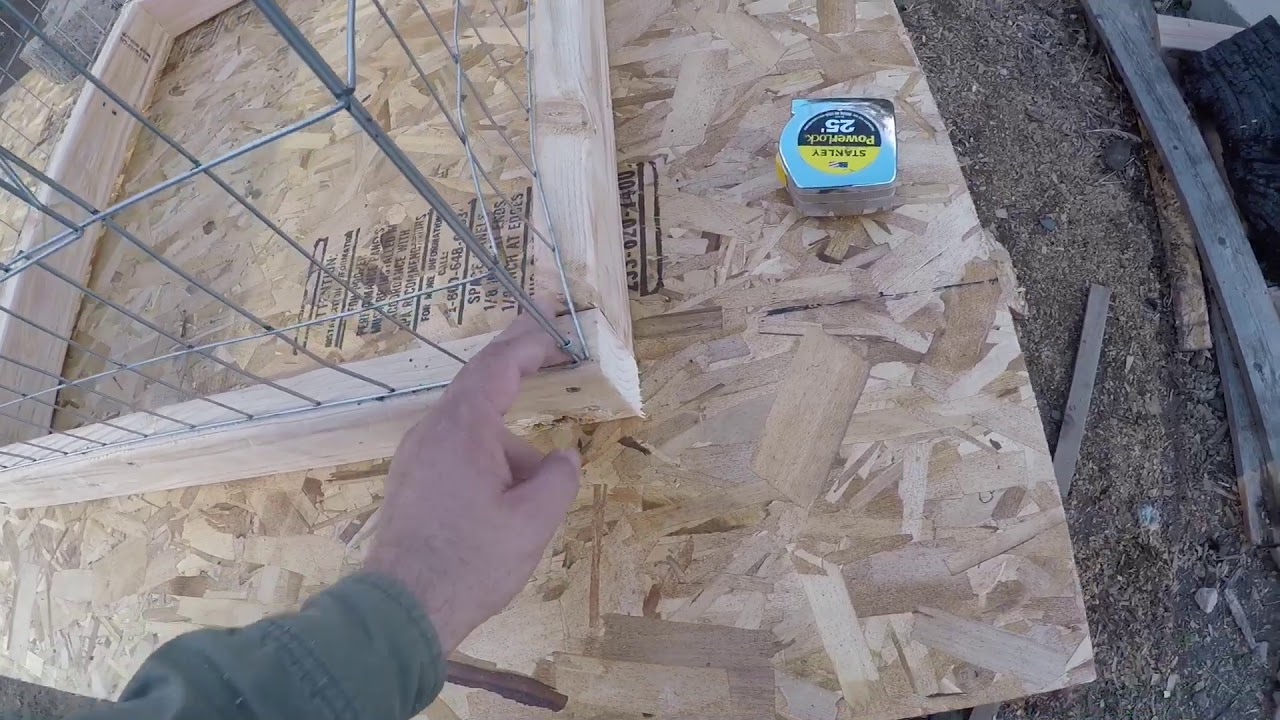 Preparando rascaderos para los gallitos!