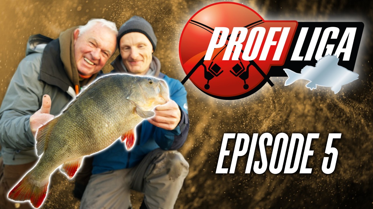 HEUTE flippen die Barsche aus! 🔴 Profi Liga Barsch, Staffel 2 Folge 5