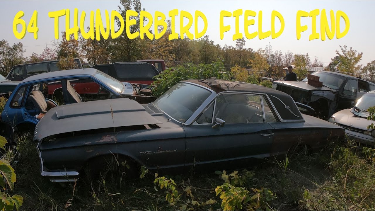 1964 Thunderbird Field Find, Left For Dead, Abandoned, Hot Rod, Custom Rust Bucket.