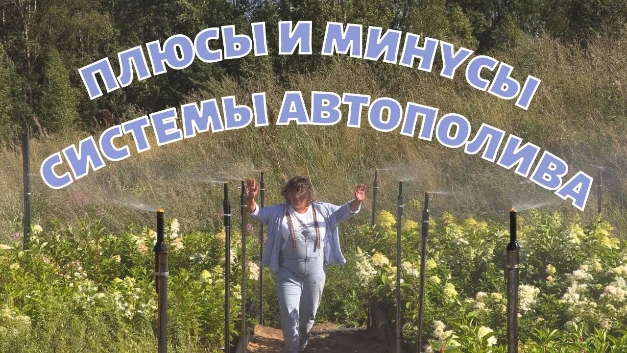 Плюсы и минусы системы автополива