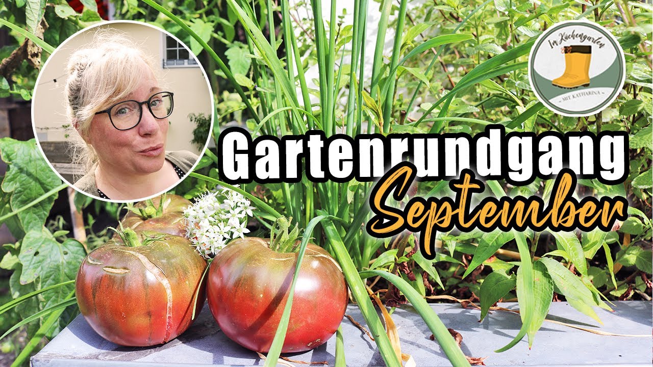 Mein Garten im September | 🍅Tomaten, Chilis, Enten, Ernten, Erfolg, Misserfolg, aber mit viel Freude