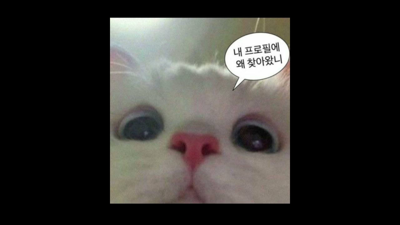 내가만든 펑크만있는 랜플댄!이제동영상은 랜플,로블영상만올라갈예정입니다