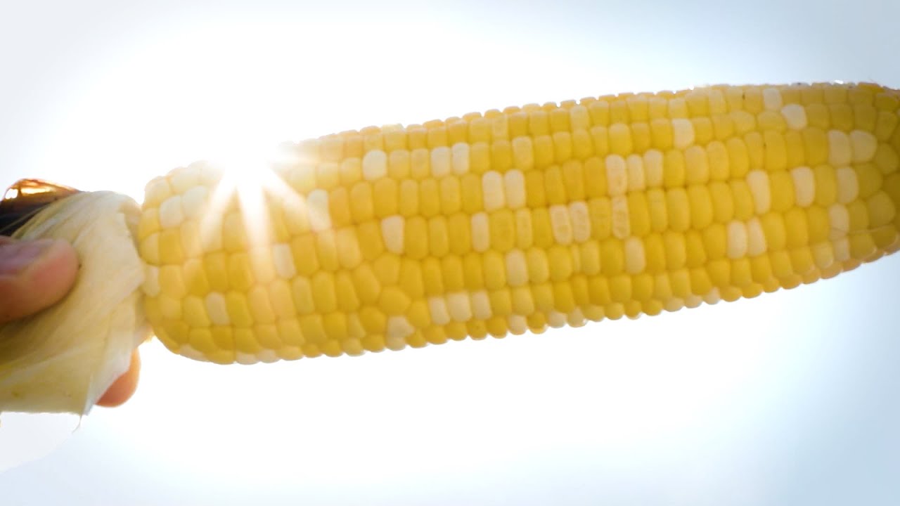 Crazy for Cornyval | Helotes Cornyval | Helotes, TX