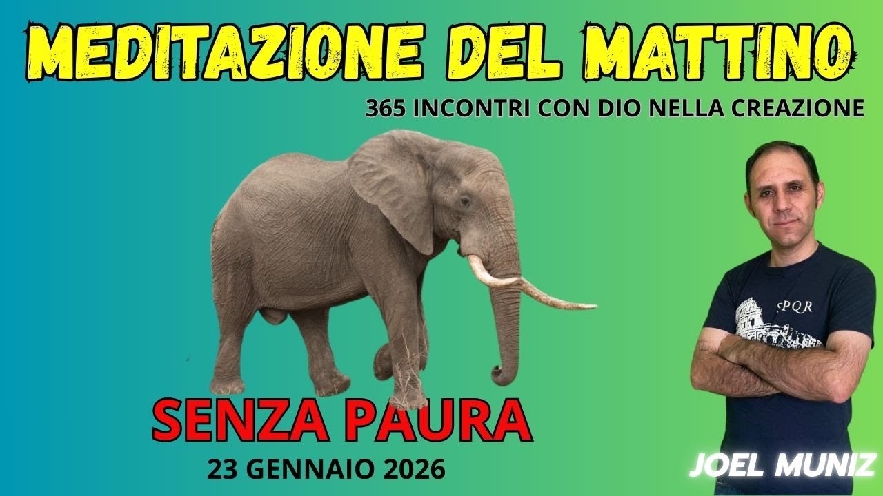 SENZA PAURA - 23 GENNAIO - MEDITAZIONE DEL MATTINO