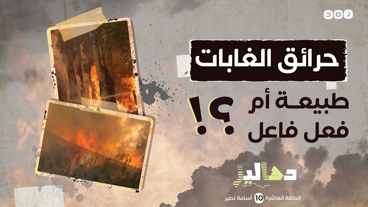 دهاليز - كيف تحدث حرائق الغابات ؟ - أسامة نصير