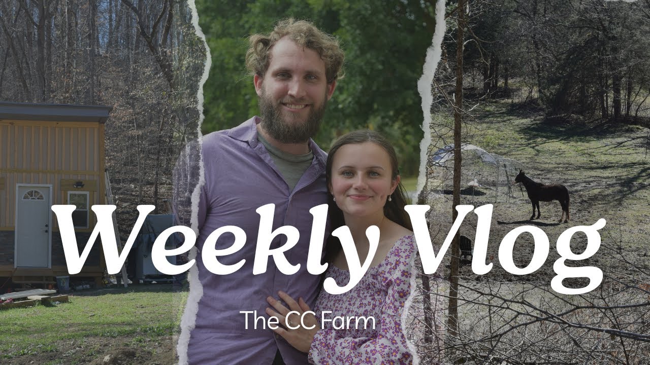 Weekly Vlog/Updates on off grid farm (outdoor shower build, puppy play pen and more!)- THE CC FARM