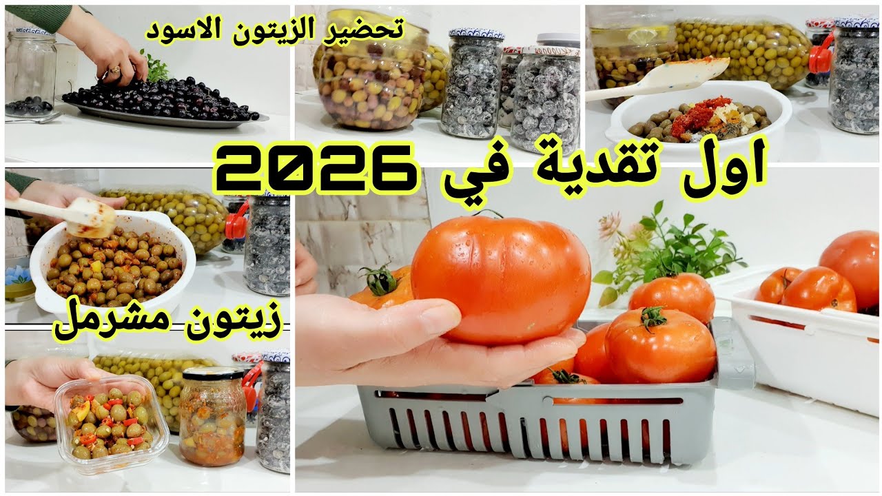 اول تقدية في 2026 💰ترقيد الزيتون الاسود👌 شاركت معاكم الزيتون مشرمل #زيتون_مخلل #تقدية#ترقيد_الزيتون