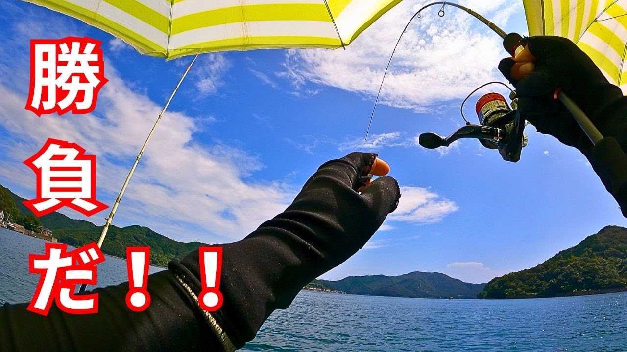 【高知県　浦ノ内湾】生きたエビを使って真鯛を狙う