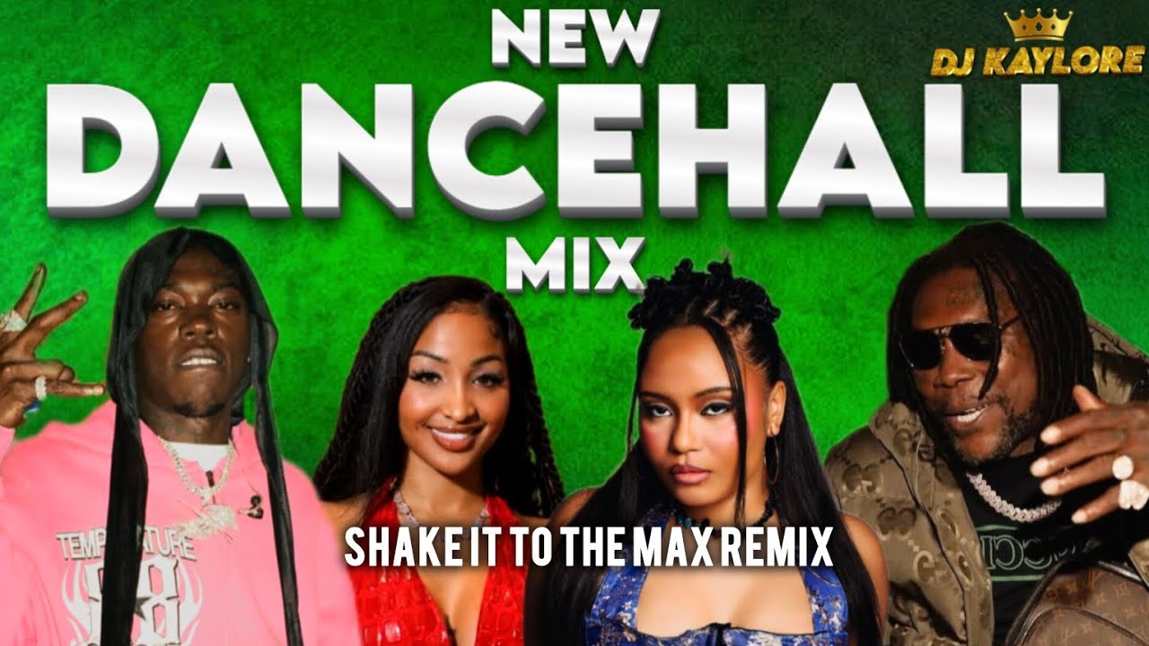 NEW DANCEHALL MIX 2025 | SHAKE IT TO THE MAX REMIX.VYBZ KARTEL.MOLIY SHENSEEA.SKILLIBENG SILENT ADDY