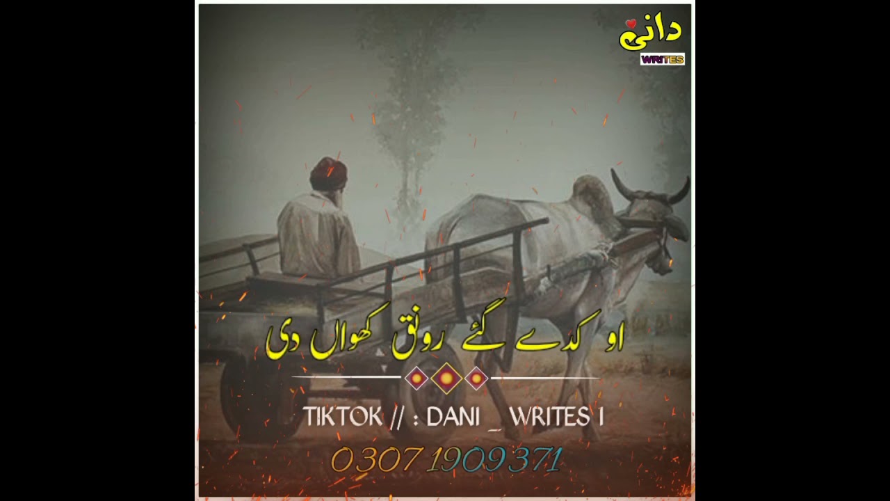 # DANI WRITES # PUNJABI SHAIRI MOVIES # SUBSCRIBE MY CHENAL#@