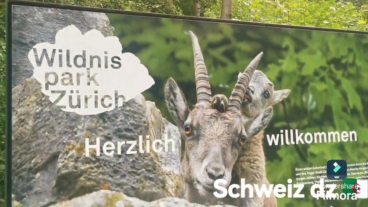 عيشوا معايا تحويسة شابة بين أحضان الطبيعة🌳 والحيوانات 🐻🐀🐐معschweiz dz🇩🇿 الجزء الأول