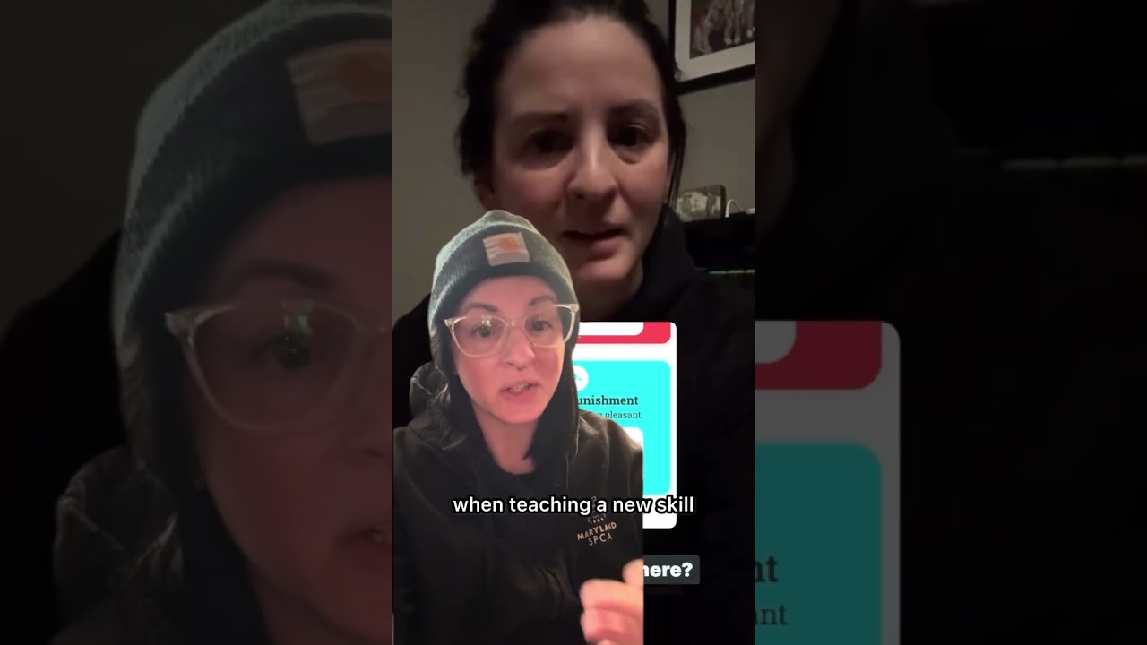 Can you teach 