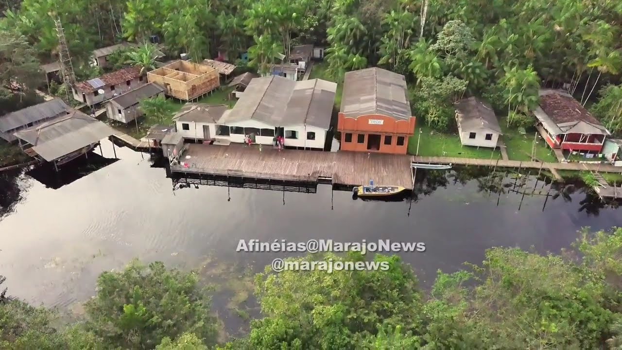 Imagens feitas em 22/02/2020 - Ilha Pau de Rosa/São Sebastião da Boa Vista-Pa
