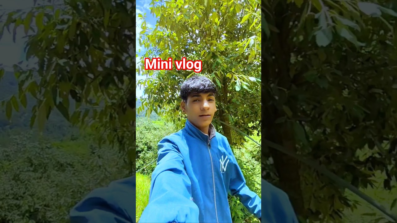 make a mini vlog #minivlog  #shorts