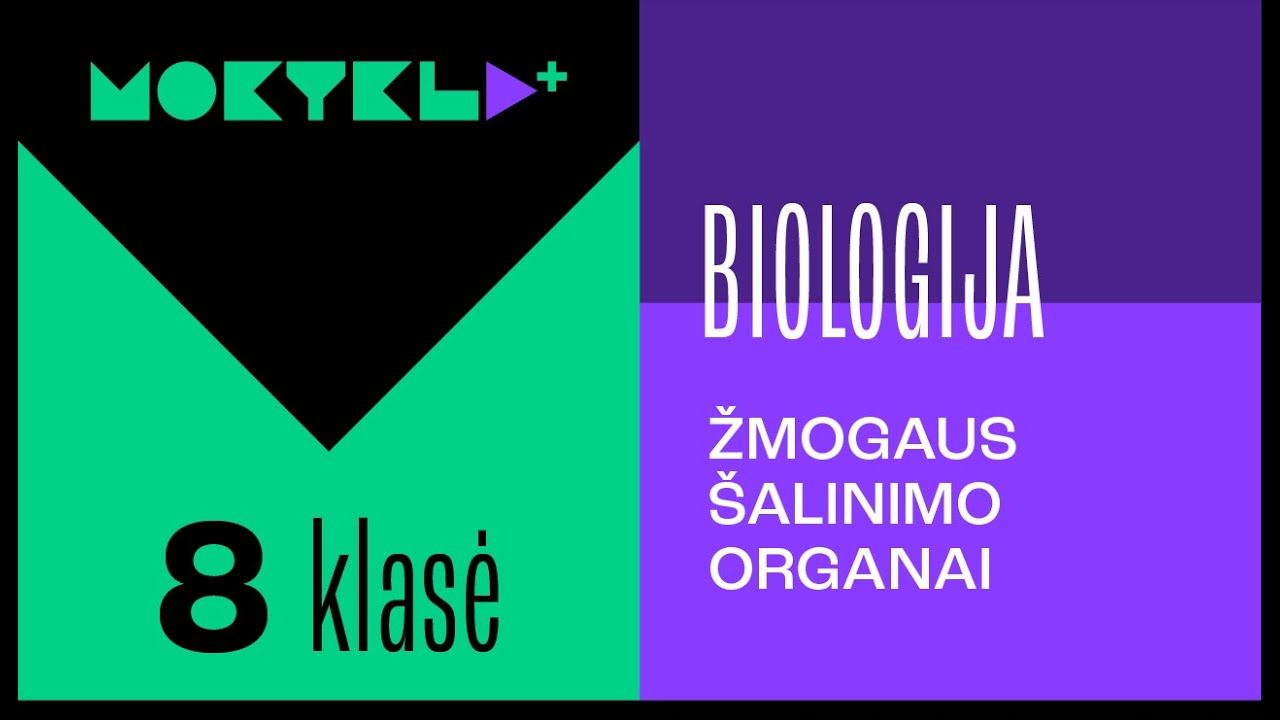 Mokykla+ | Biologija | 8 klasė | Žmogaus šalinimo organai || Laisvės TV X