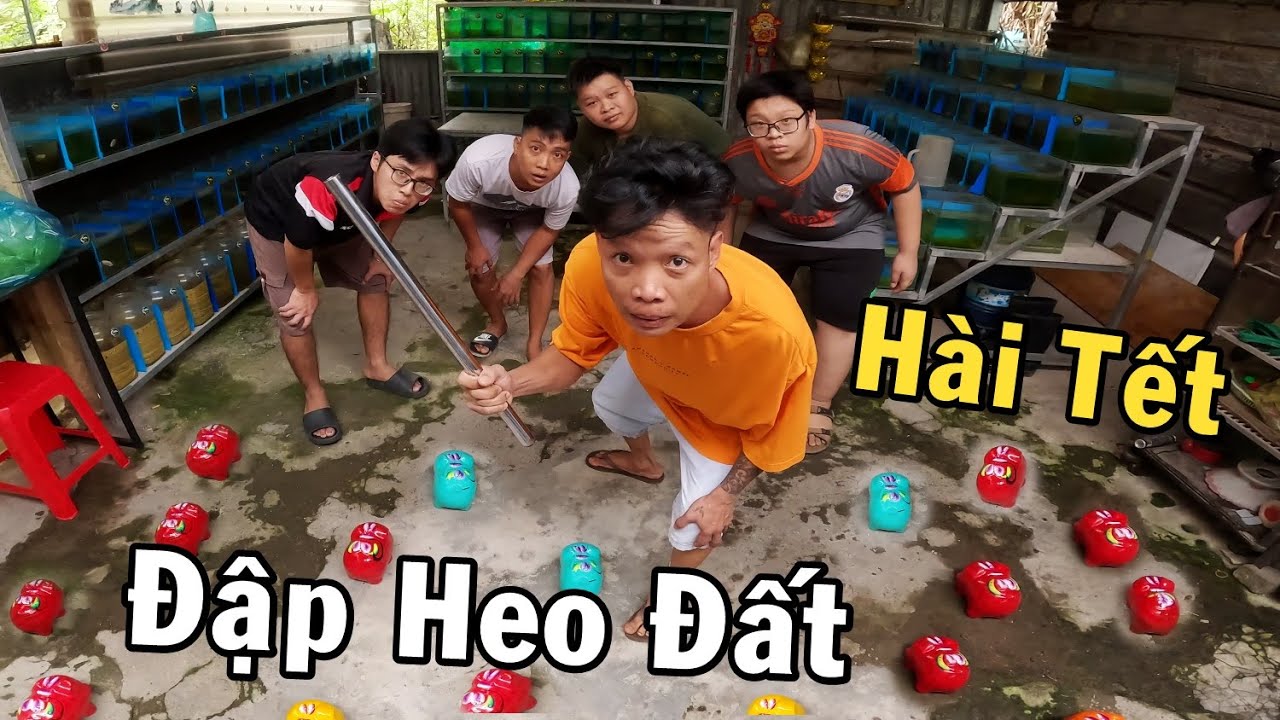 Trò chơi Đập Heo Đất lấy tiền cùng Anh Nhí Betta