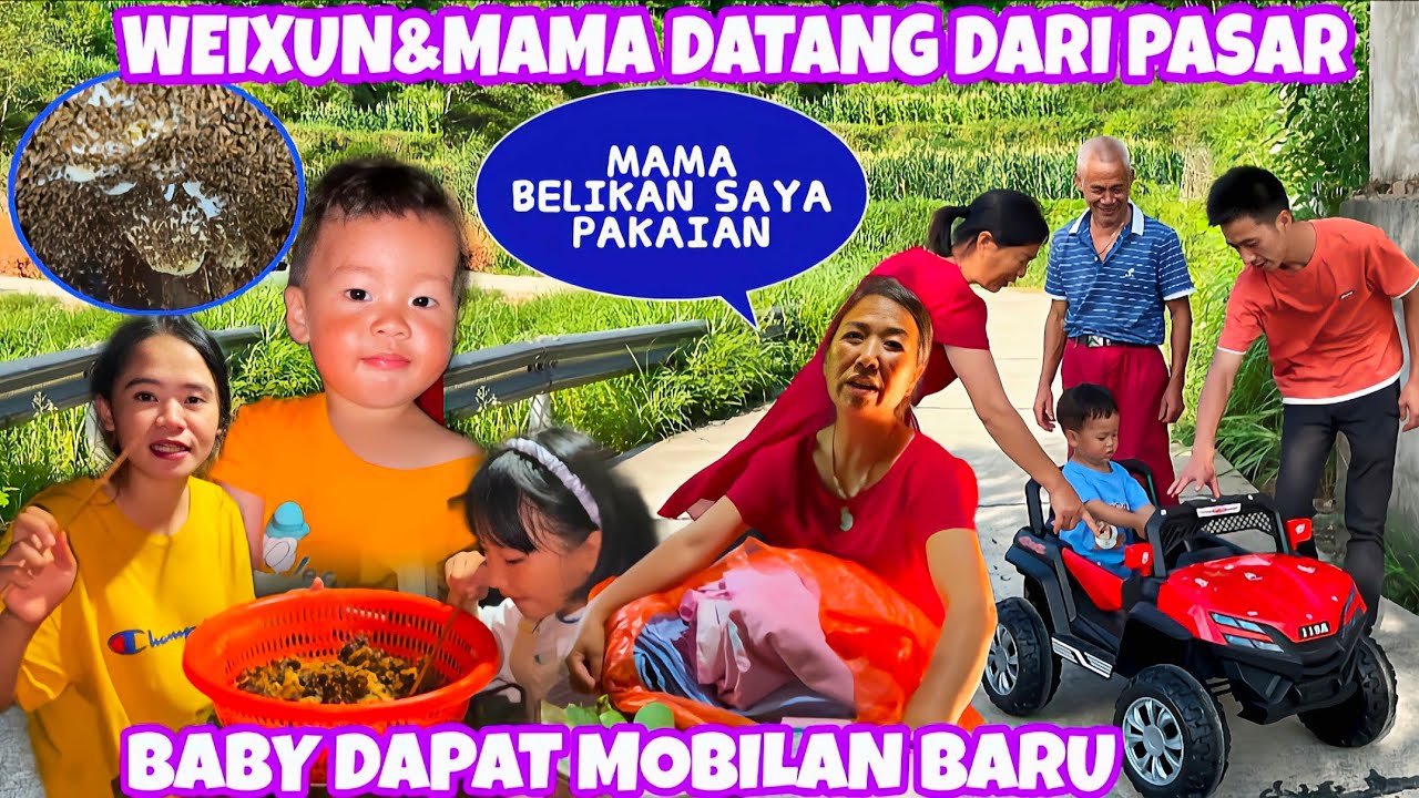 WEIXUN DATANG DARI PASAR BAWA BANYAK HADIAH UNTUK KAMI,DILEMARI PIRING SENYANG ADA SARANG LEBAH