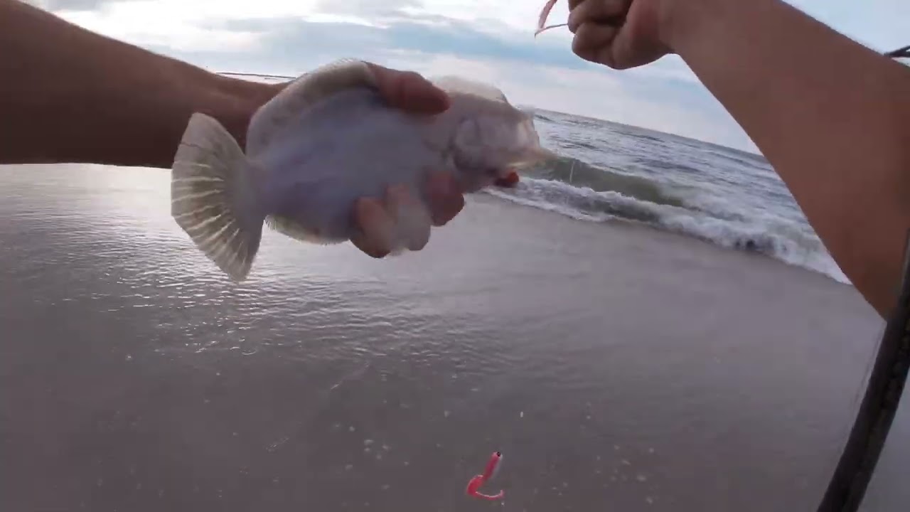 Surf Fishing For Flounder in Barnegat Light, NJ