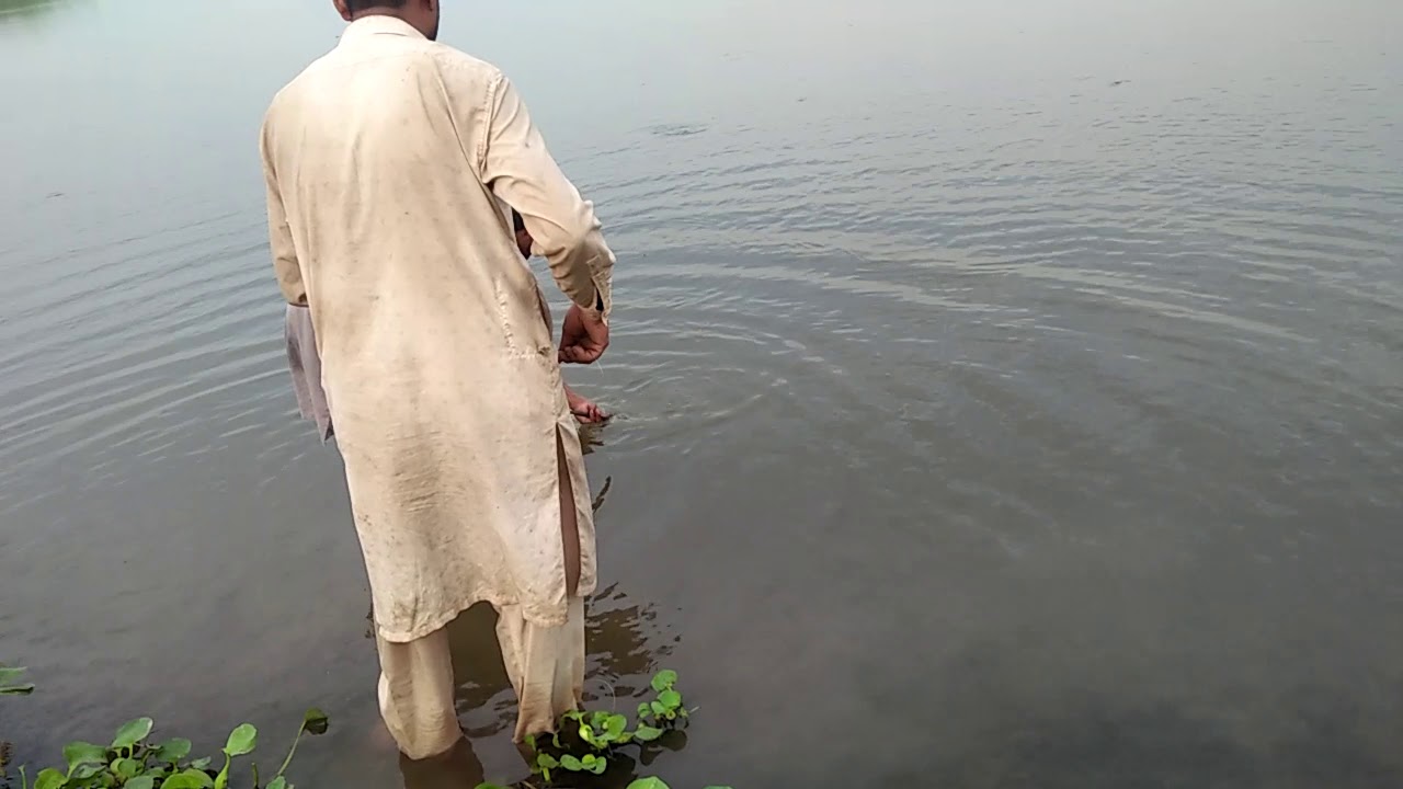 Fishing in head baloki no. 9 point   9th Jul 2019