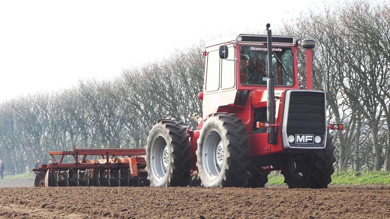 Massey Ferguson 1200 in the field cultivating during Tractor display | Danish Agriculture