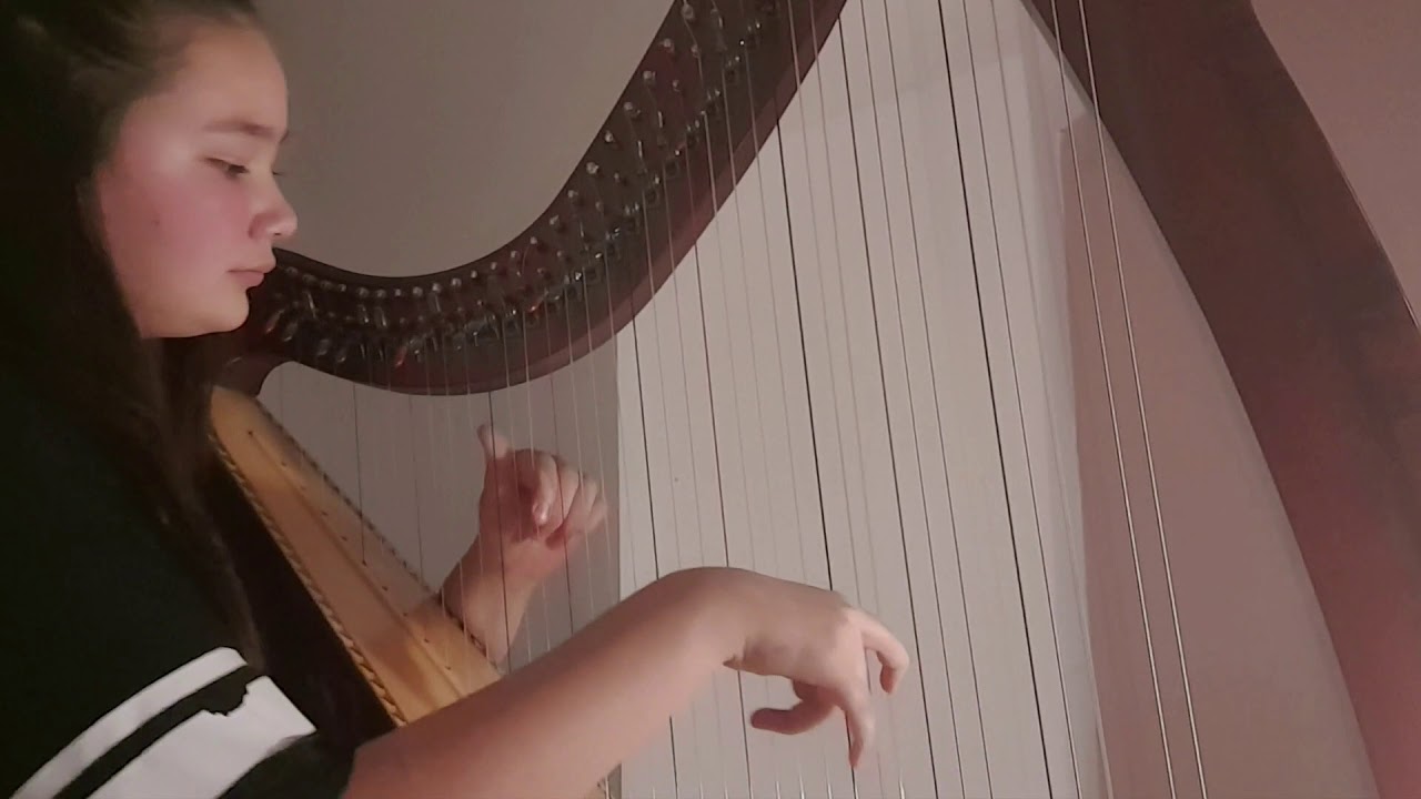 Lands End - Harp Day Ireland