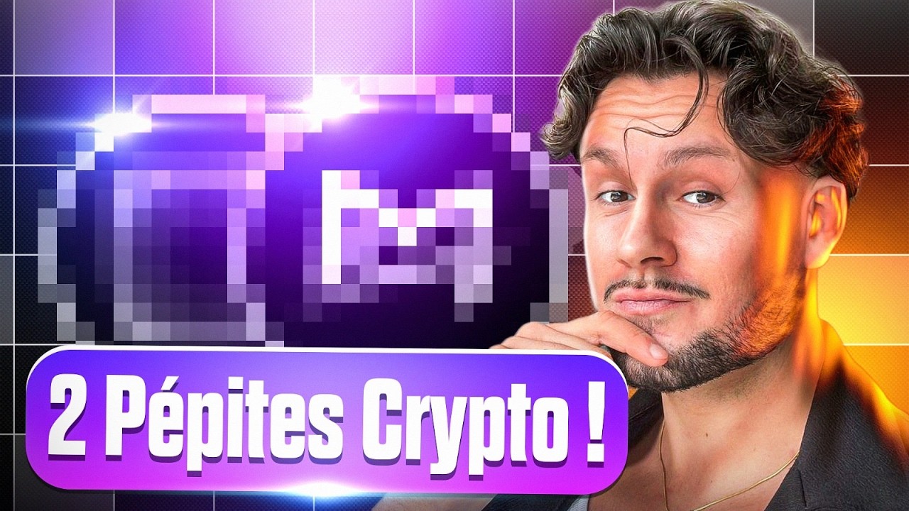 🚨 2 P&Eacute;PITES CRYPTO &Agrave; SURVEILLER POUR 2026 ?!