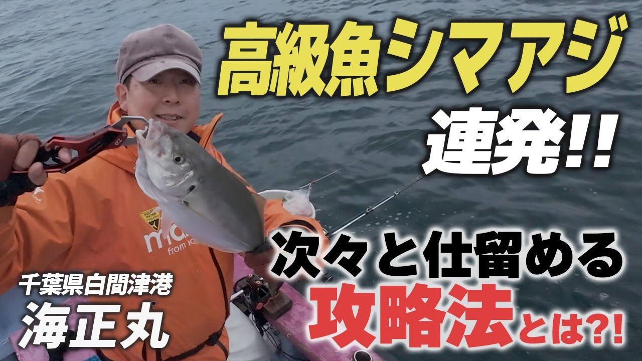 釣り人憧れのターゲット「シマアジ」繊細さと暴走機関車のような引きを耐えて釣り上げろ！！南房白間津海正丸さんから2025年11月の釣行