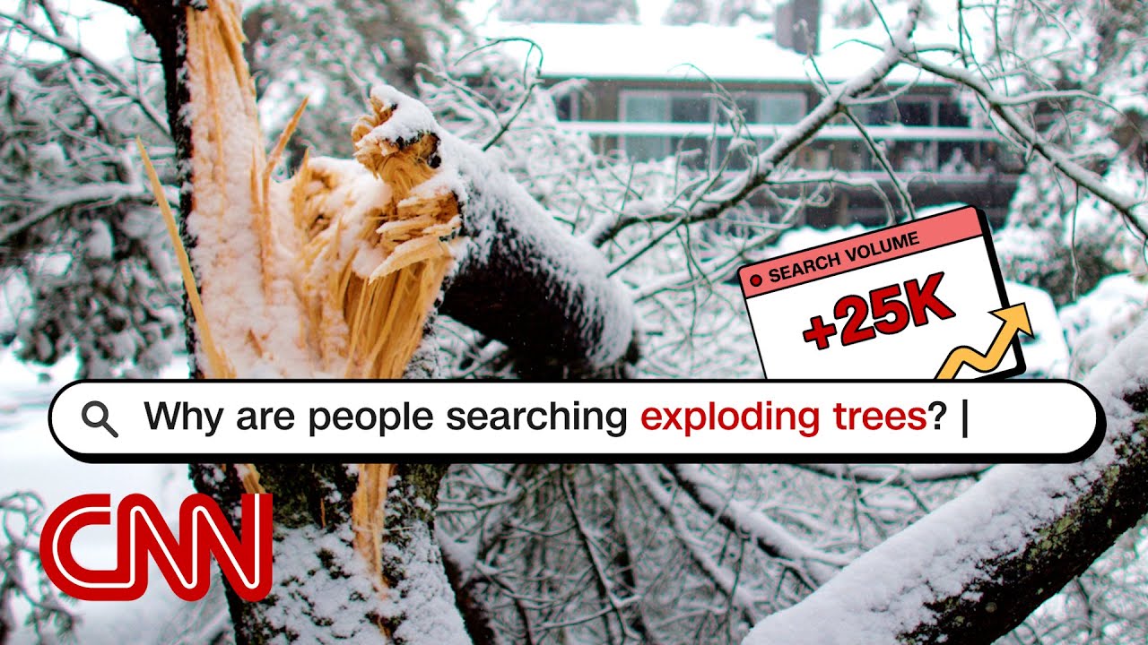 Can you guess the most searched news story this week? | Looped In