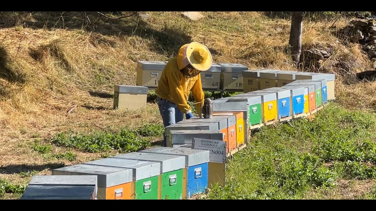 L'apicoltura biologica in Piemonte