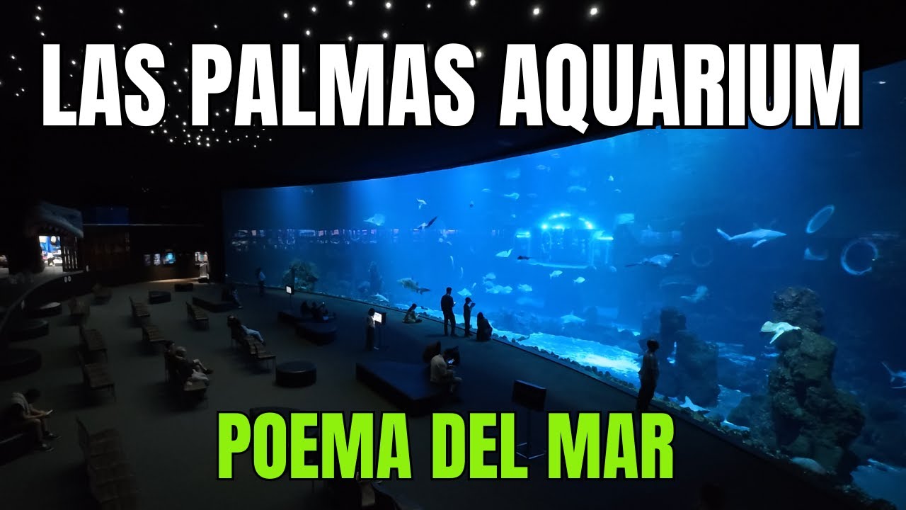 Poem al Mare Gran Canaria Aquarium