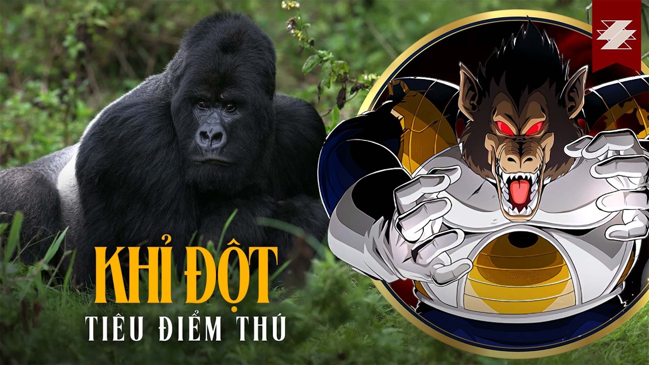 KHỈ ĐỘT đối thủ của 100 đàn ông | TIÊU ĐIỂM THÚ | SAMURICE